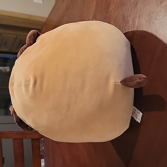 (J3) Daryl the dog with glasses Squishmallow - Picture 5 of 8